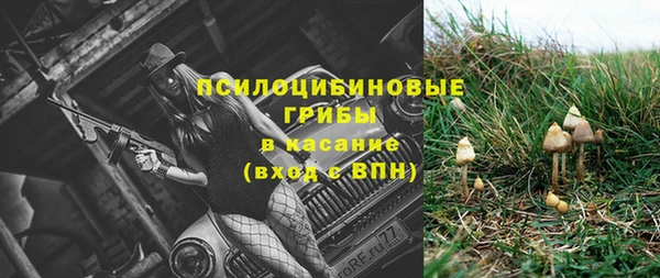 ПСИЛОЦИБИНОВЫЕ ГРИБЫ Алзамай