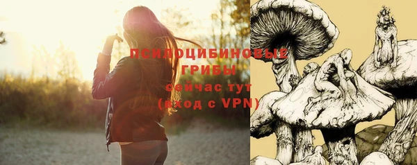 ешки Алексеевка