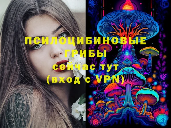 ешки Алексеевка